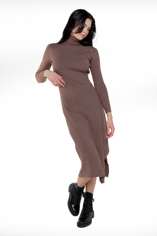 BROWN KNIT TURTLENECK DRESS